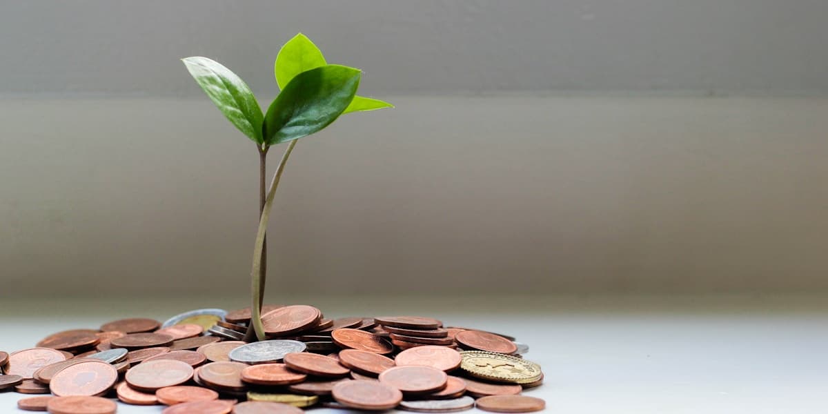 Coins and a growing plant, cost of living concept