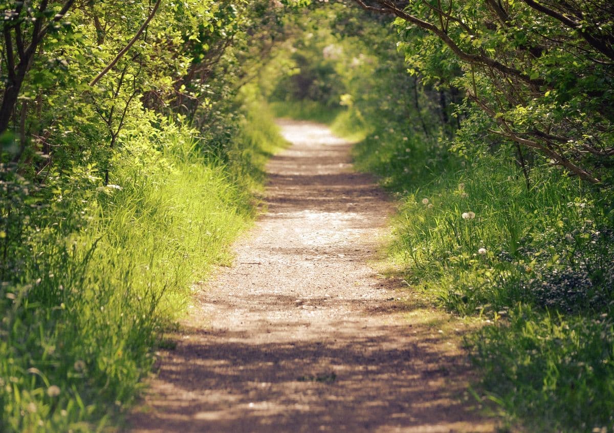 Parks & Outdoors