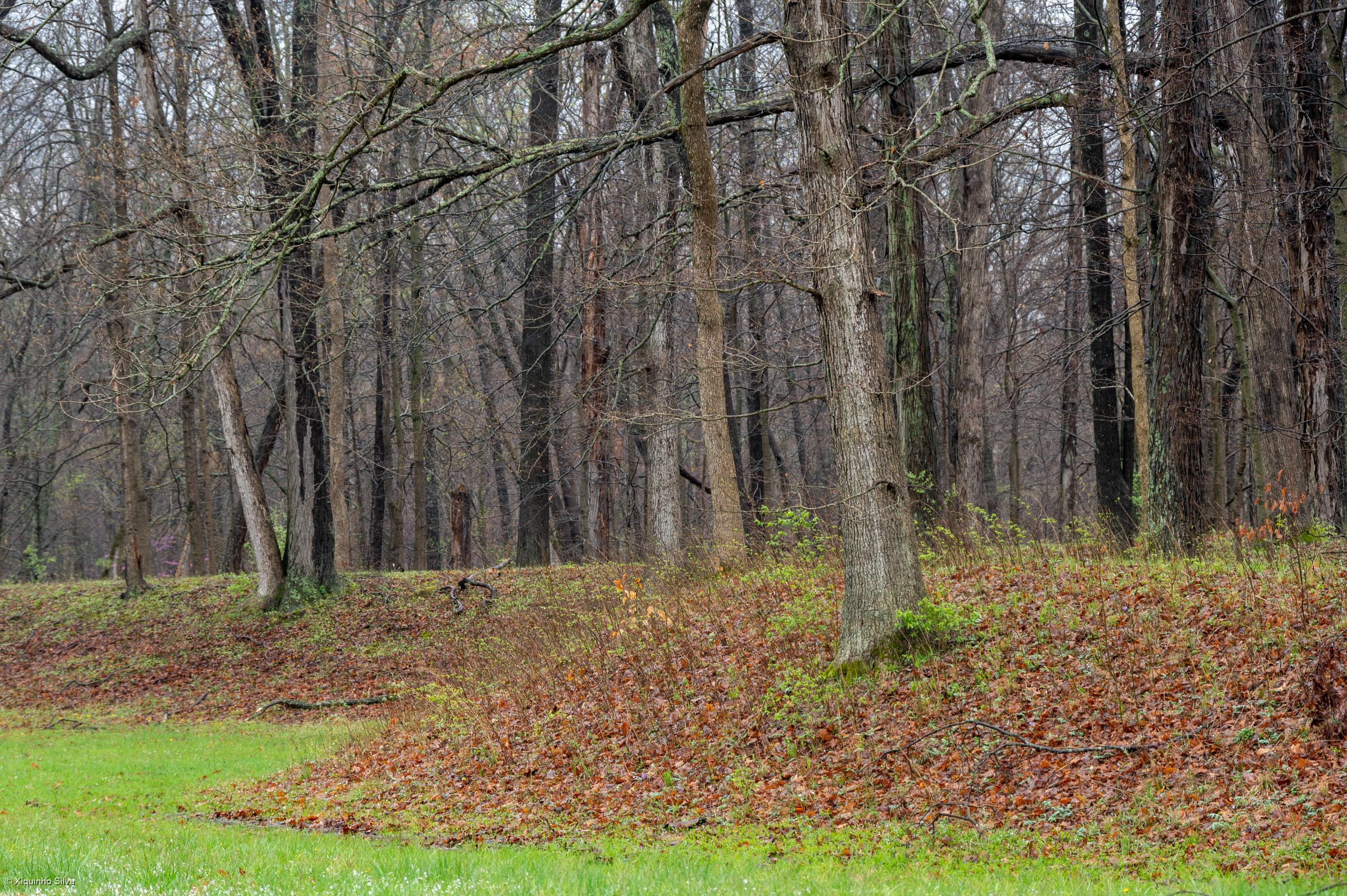 Fort Ancient Earthworks & Nature Preserve